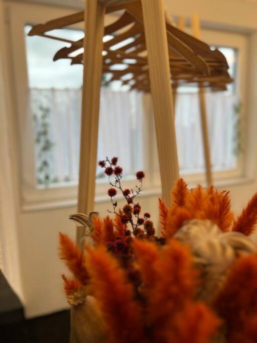 Boho Apartment Mit Aussicht Auf Gartenoase Naehe Duesseldorf Κρέφελντ Εξωτερικό φωτογραφία